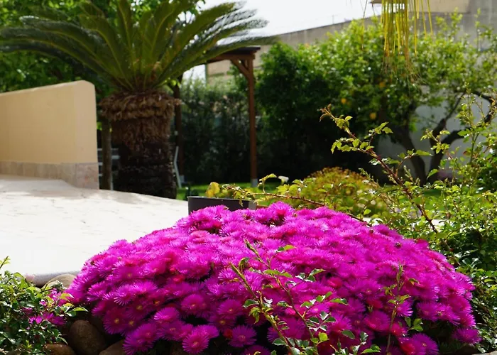 住宿加早餐酒店 Milena 帕瑟科