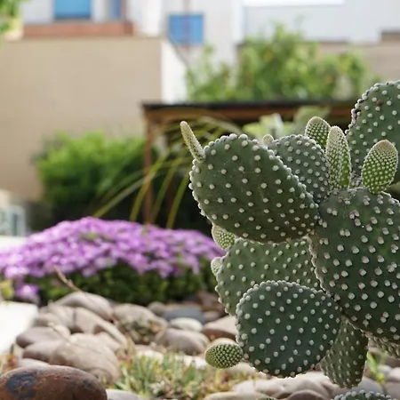 Milena Bed & Breakfast Paceco