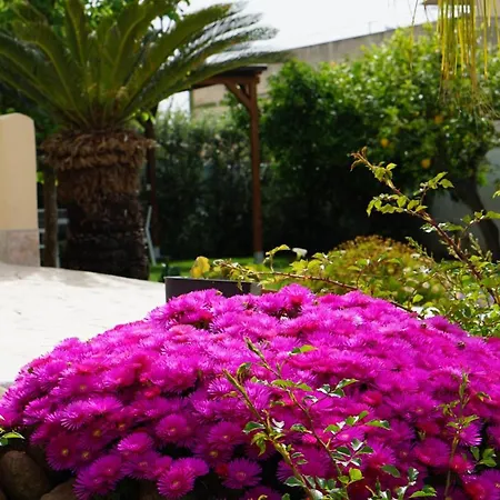 Bed and breakfast Milena Paceco