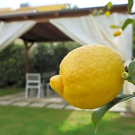 Milena B&B 파세코