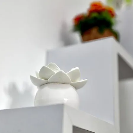 Milena B&B 파세코