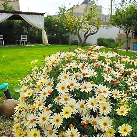 Milena B&B